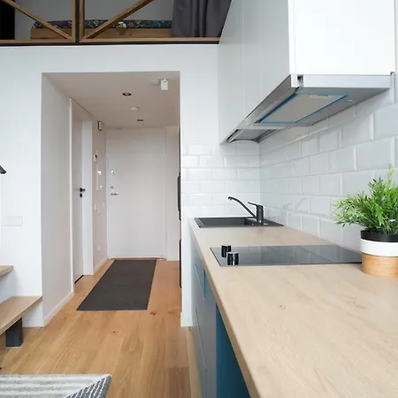 Apartment Stylish & Modern Loft On The Top